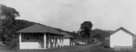 image 45