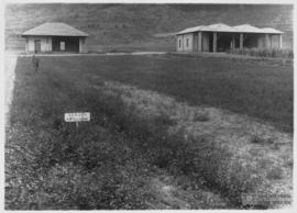 image 32
