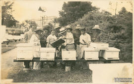 Curso de apicultura na Semana do Fazendeiro
