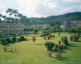 Viçosa: “Campus” de Outono