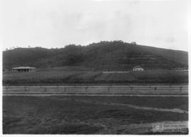 image 16
