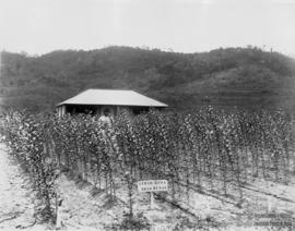 image 09