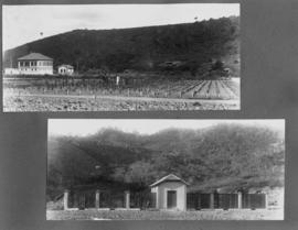 image 39