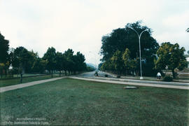 Avenida P.H. Rolfs: Cruzando o Campus de ponta a ponta