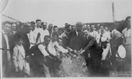 image 71