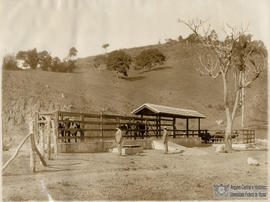 image 41
