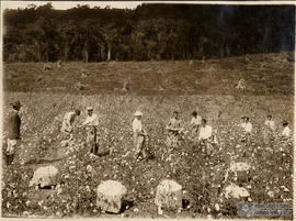 image 25