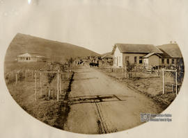 image 33