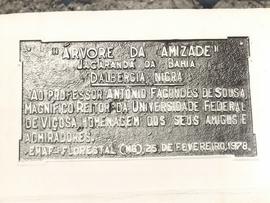 Solenidades e Eventos Institucionais 39