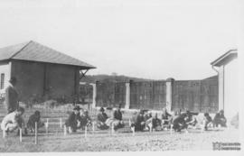 Aula prática na horticultura