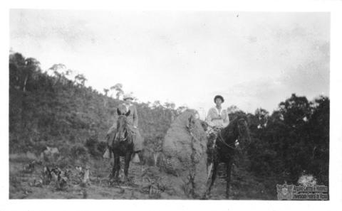 Open original Digital object