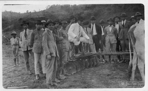 Open original Digital object