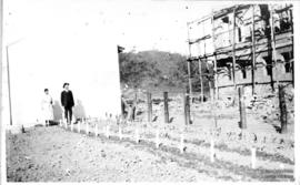 Primeiras mudas de Amaryllis plantadas ao lado da Residência do Diretor