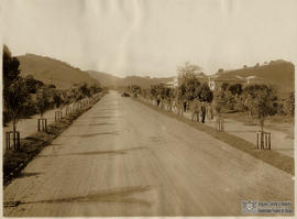 Avenida principal
