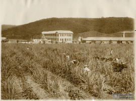 image 38