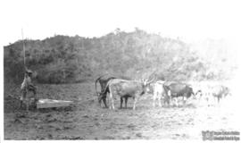 Uso do “triângulo” no nivelamento do solo